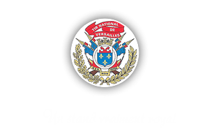 Logo TNV