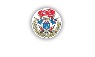 Logo TNV